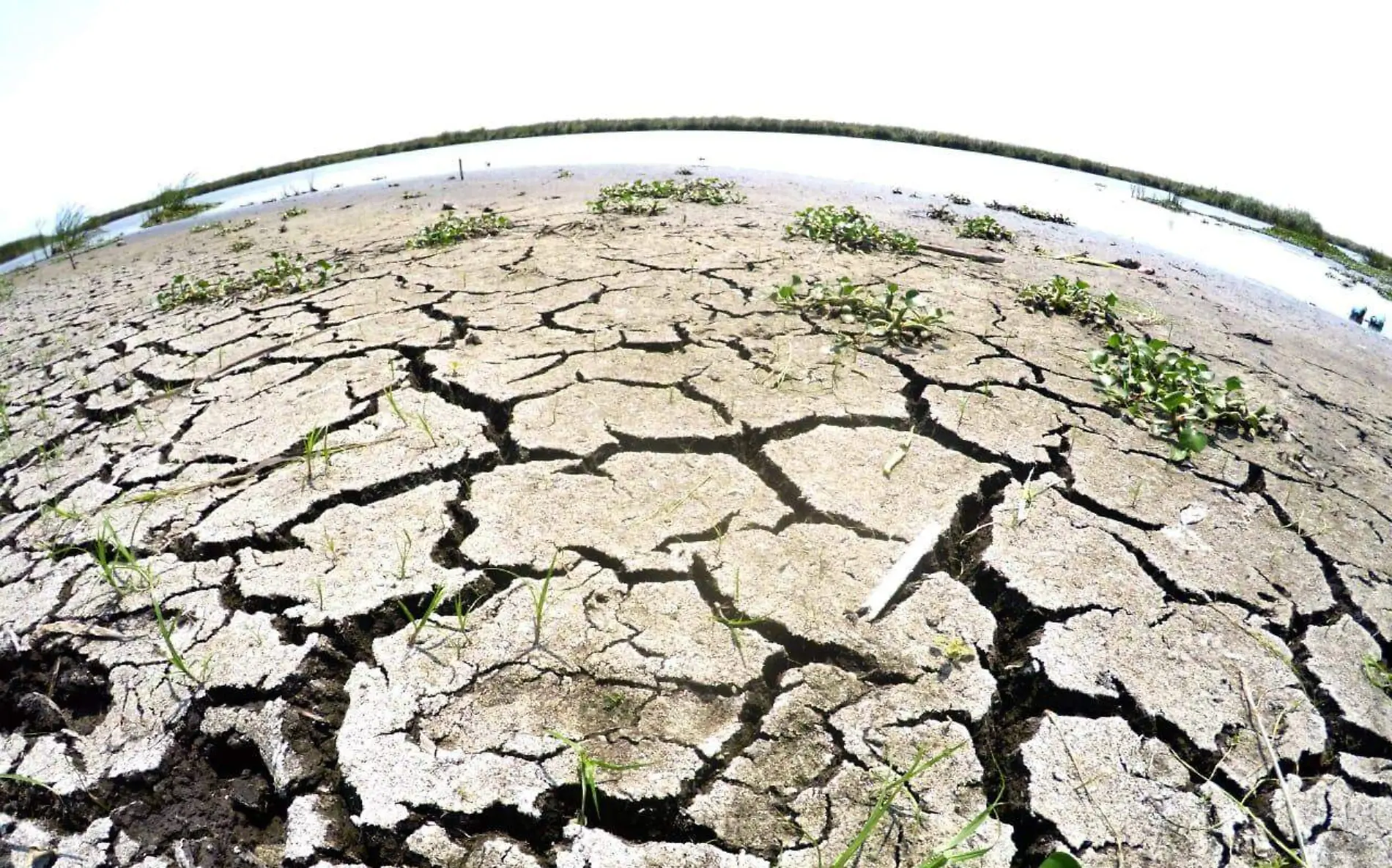 La falta de agua podría volverse una realidad en al menos 8 municipios de Tamaulipas José Luis Tapia (Archivo)